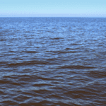 Algal blooms in California often give the ocean a red hue, earning the common name "red tide."